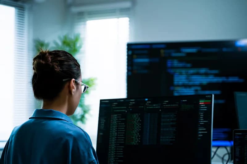 Developer