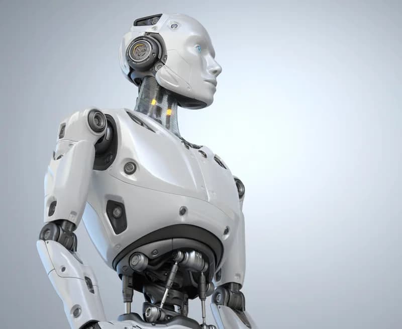 AI systems architect