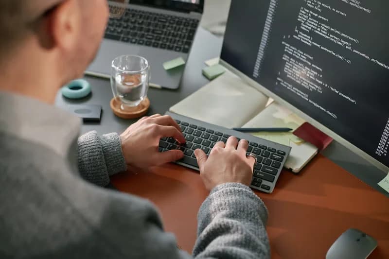 Developer