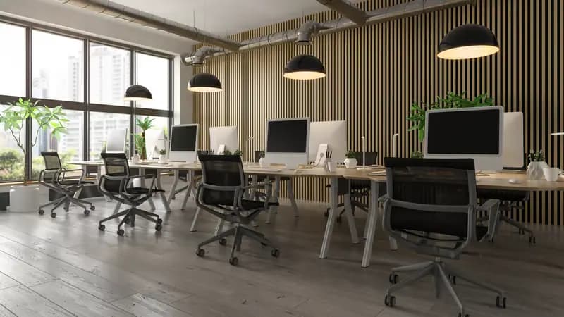 Zoiko office interior