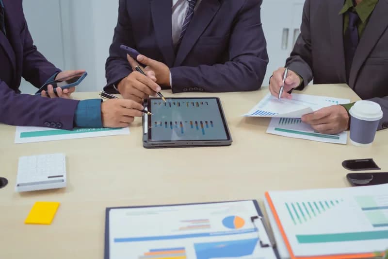 Consulting & Audits